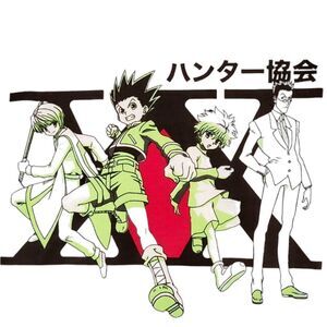 HUNTER X HUNTER GRAPHIC MENS TEE SHIRT, large